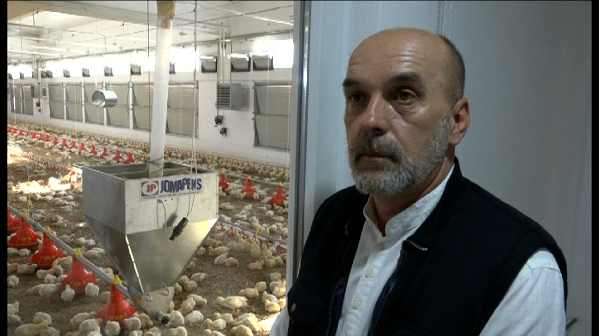 Peradari u nemilosti Federacije